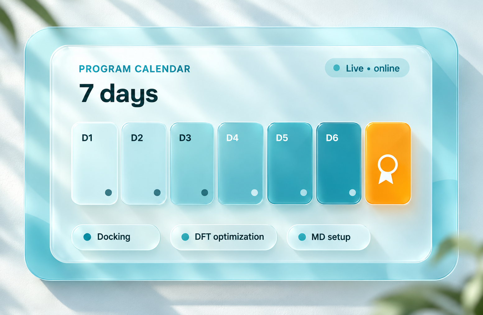 Intensive Bootcamp – 7 days